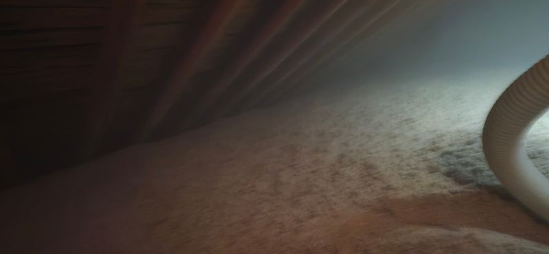 Eco-Friendly Insulation Options