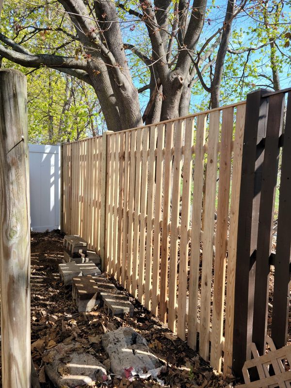 Wooden Fences