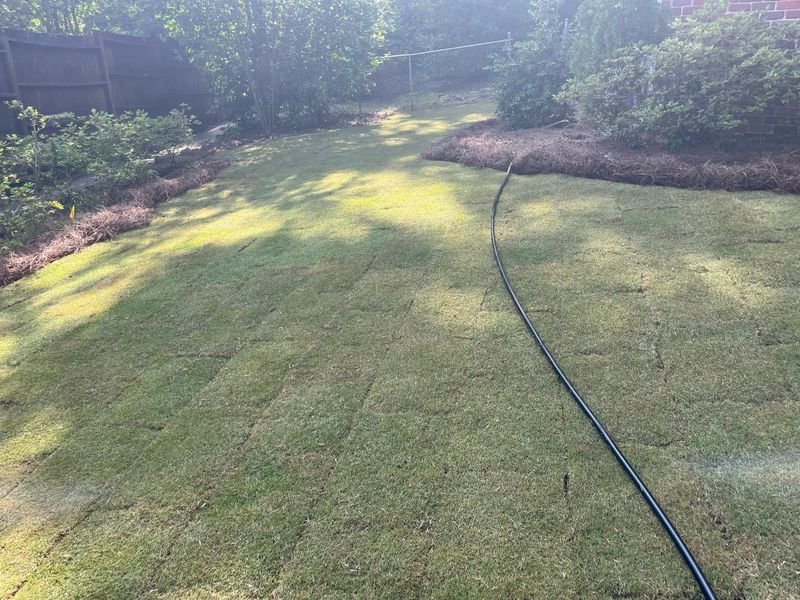 Landscape Design