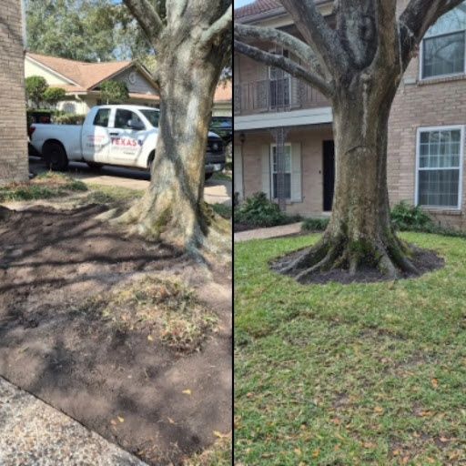 Lawn Maintenance