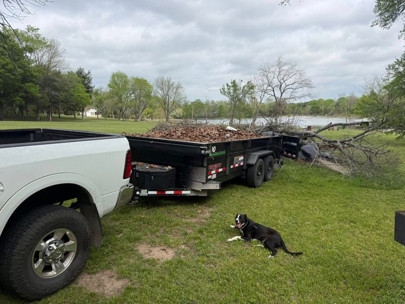 Skid Steer Work