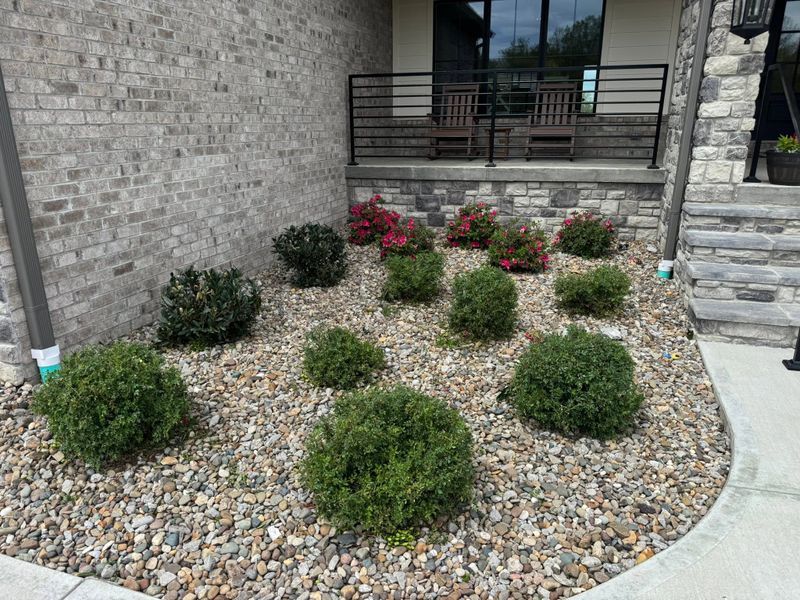Landscape Design
