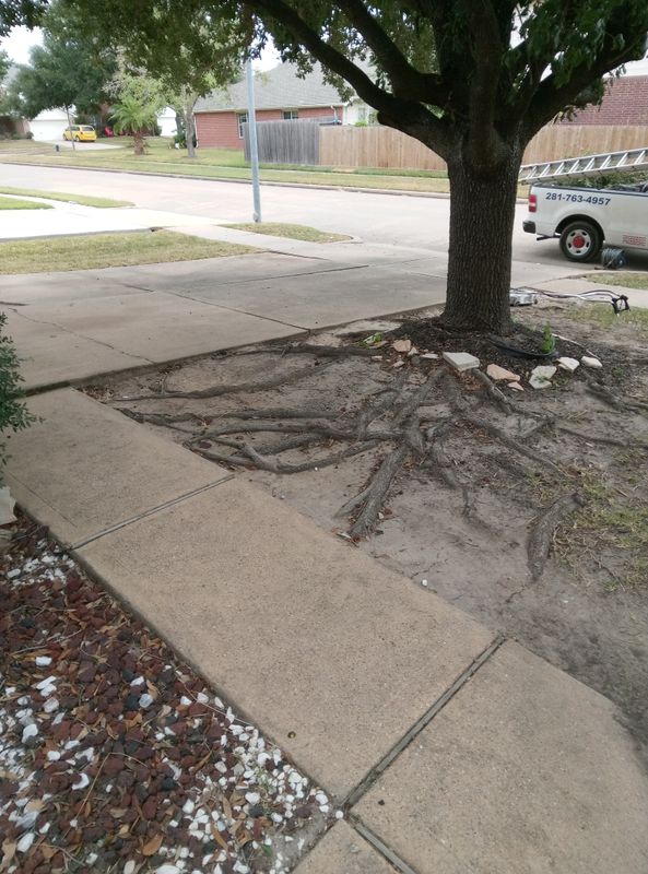 Concrete Cleaning