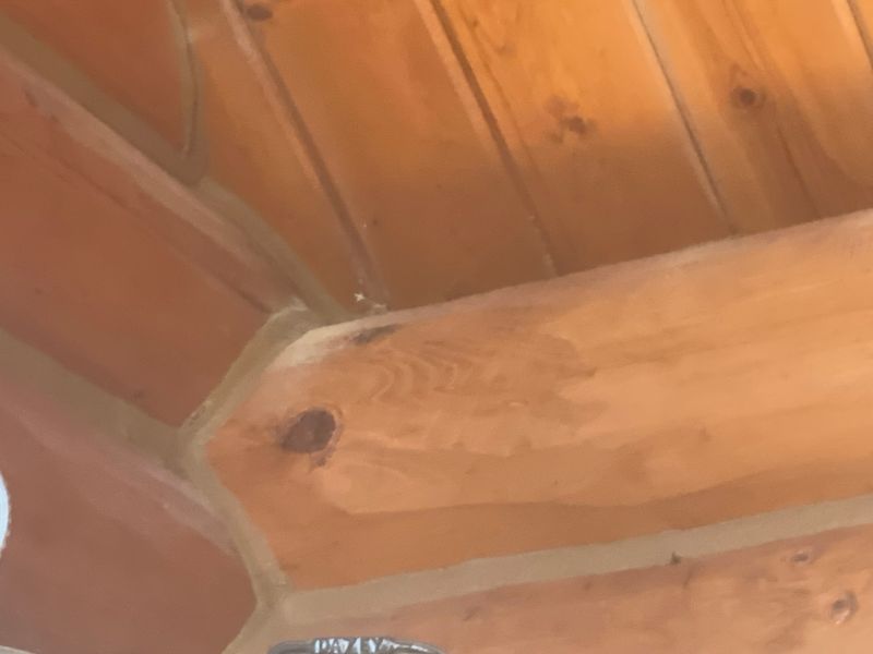 Log Home Restoration