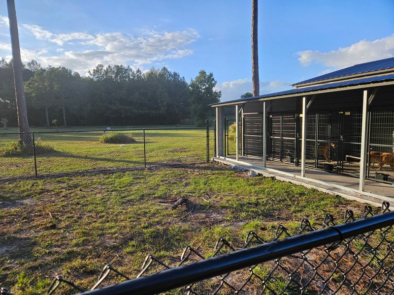 Chainlink Fences
