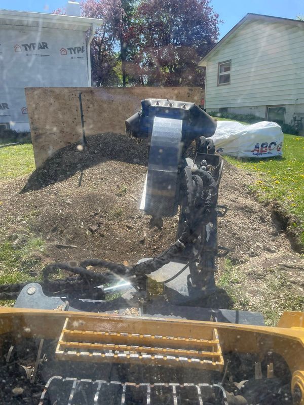 Stump Removal