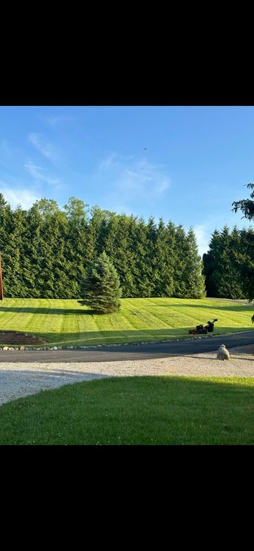 Tree & Shrub Care