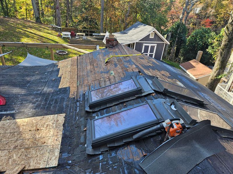 Shingle Roof Replacement