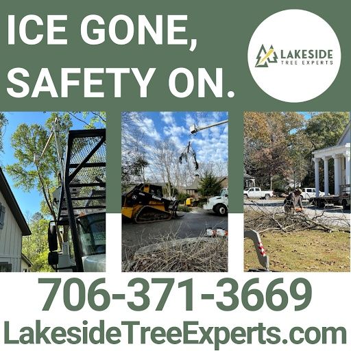 Tree Trimming