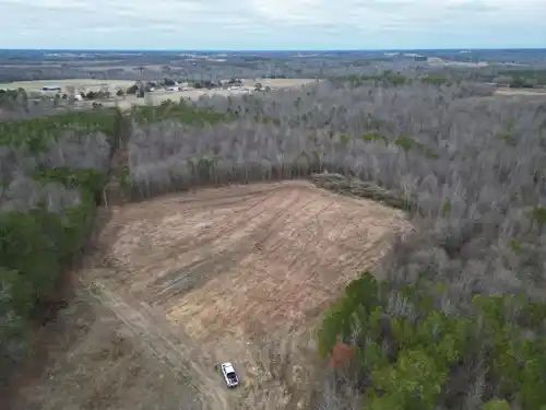Land Clearing