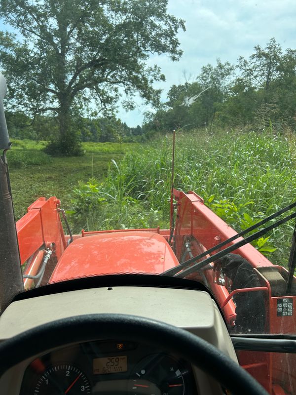 Bush Hogging