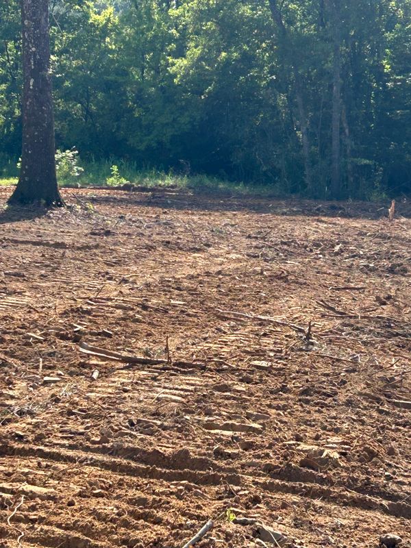 Land Clearing