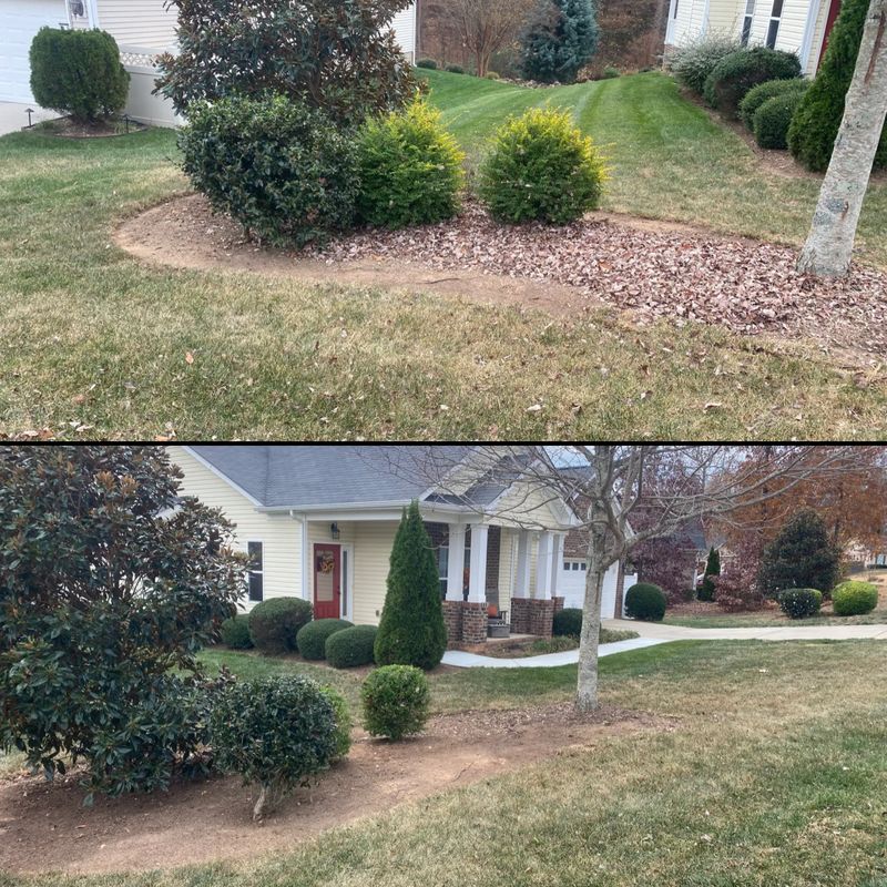 Shrub trimming 