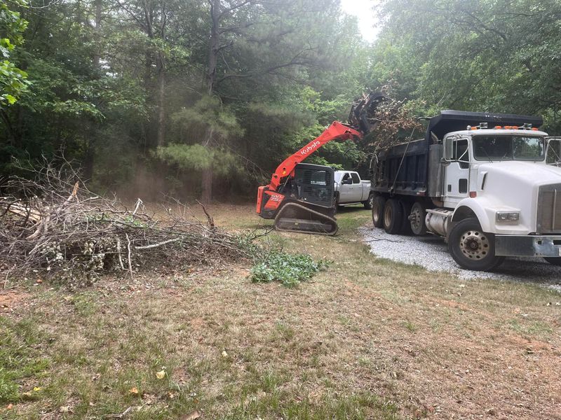 Forestry Mulching