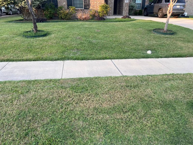 Commercial Lawn Maintenance