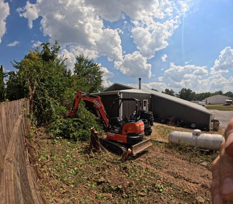 Land Clearing