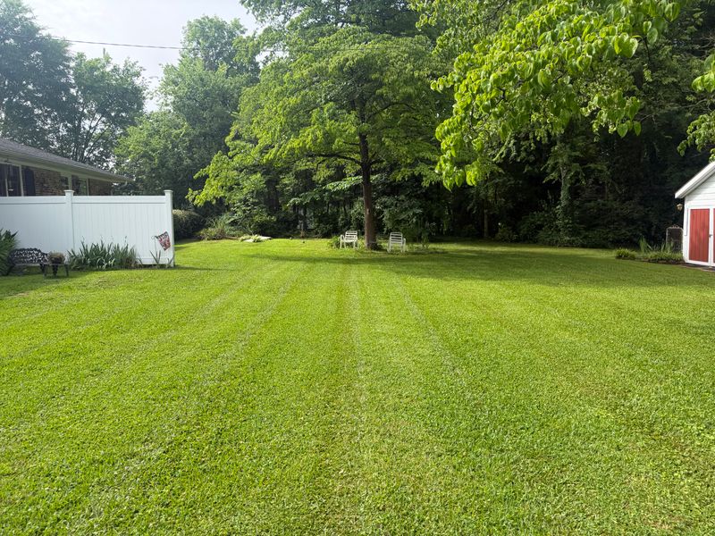 Lawn maintenance gallery