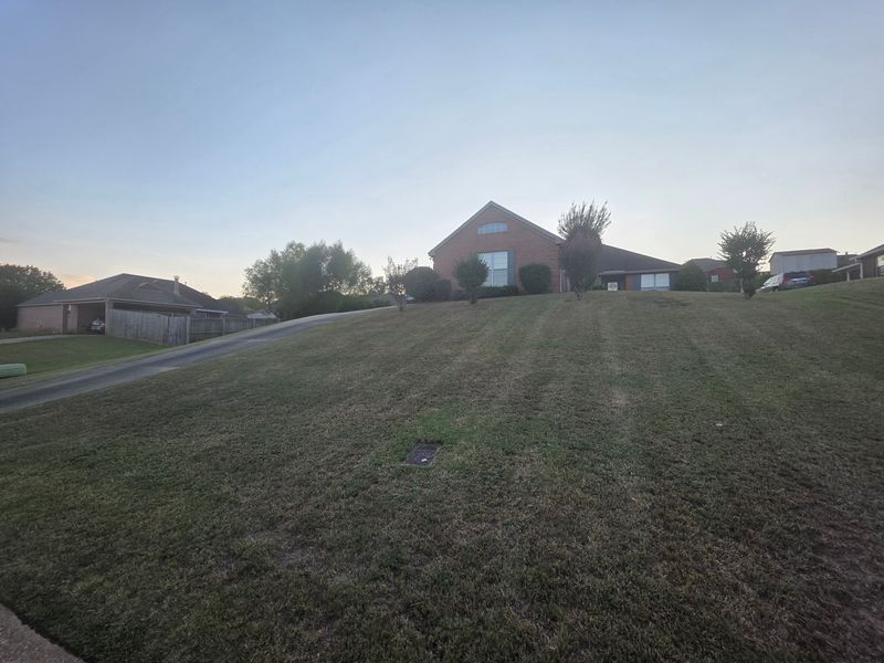 Lawn Maintenance