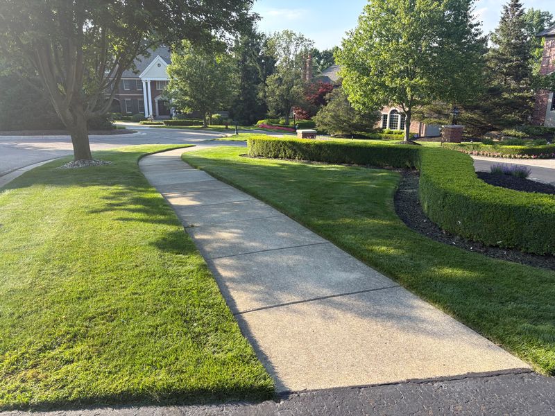 Transform Your Outdoors with Alfie's Lawn Care & Landscaping