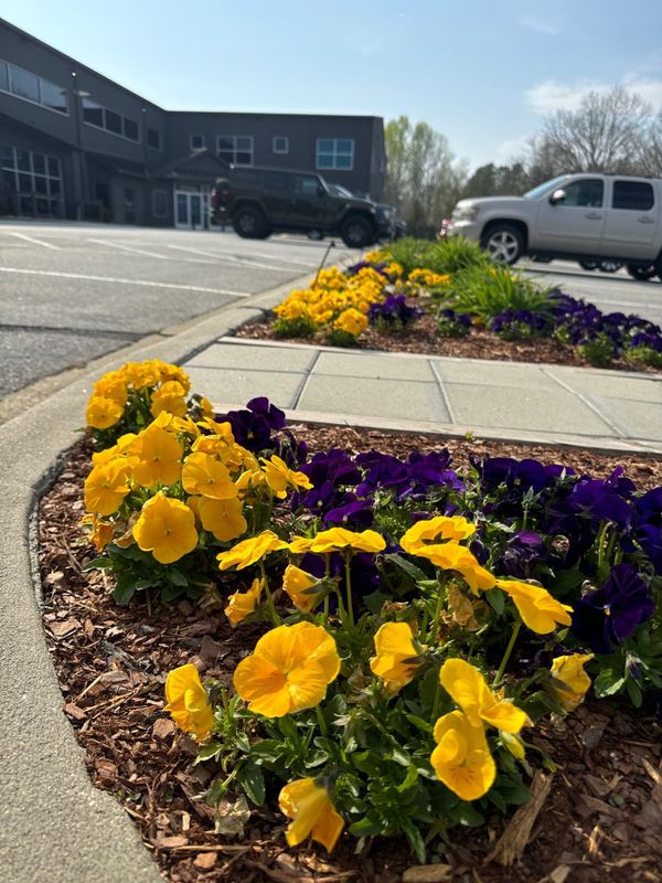 Planting, irrigation, yard features and mulch