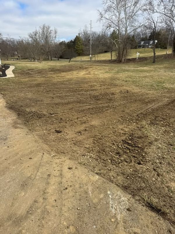 Land Clearing