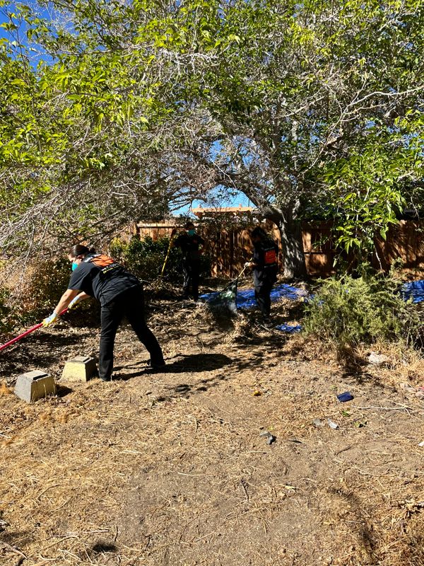 Yard Waste Removal