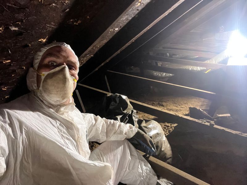 Mold Remediation