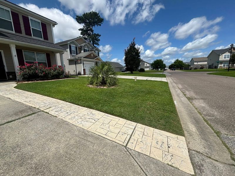 Lawn Maintenance