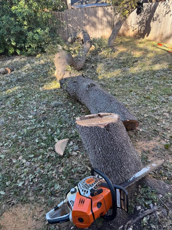 Stump Removal