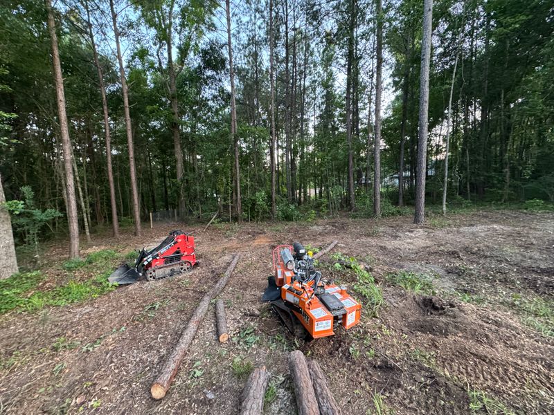 Stump Removal