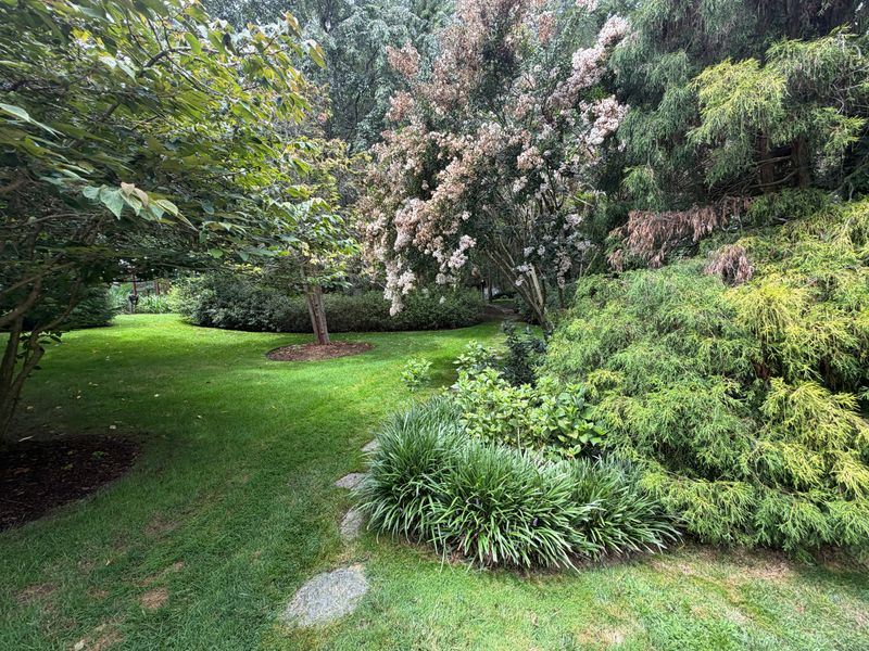 Lawn Care Services