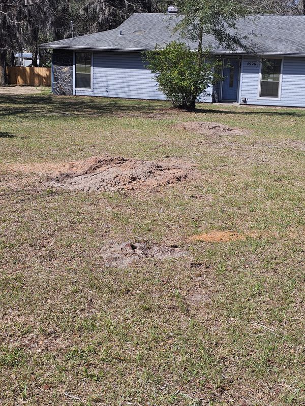 Stump Removal