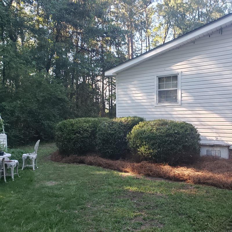 Darlington Oasis: Transforming Outdoor Spaces with Expert Landscaping by Blinn's Lawncare