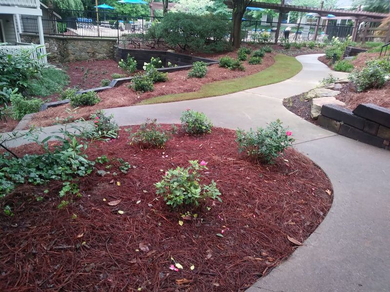 Plant & Shrub Installations