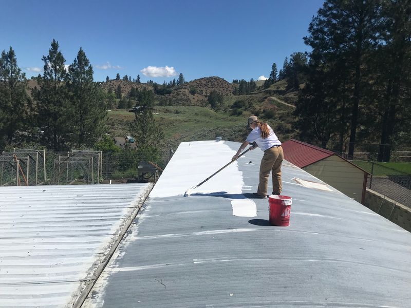 Metal Roof/Building