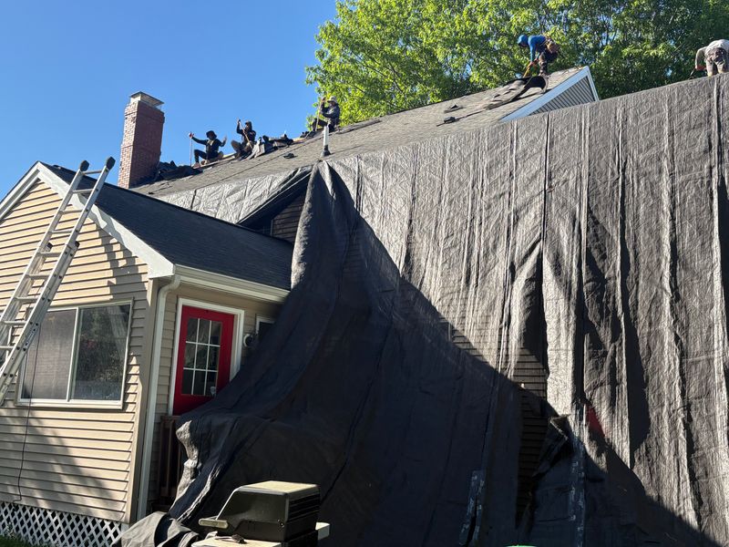 Roofing Repairs