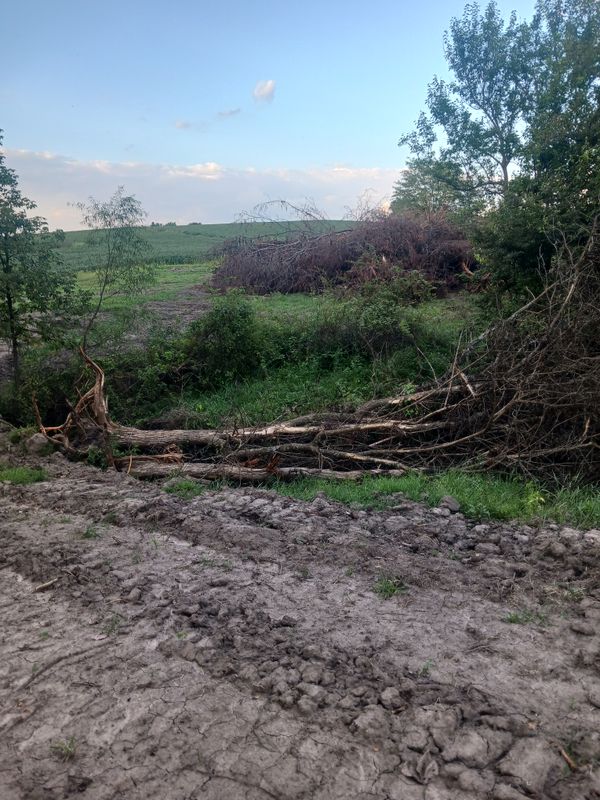 Land clearing