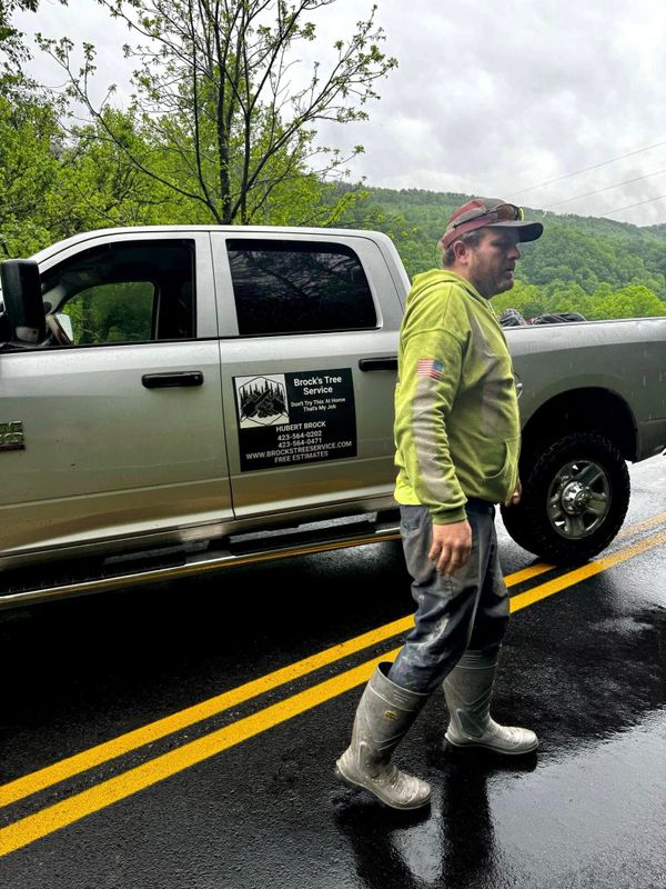 Tree Removal gallery