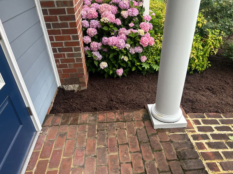 Mulch