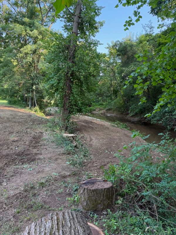 Tree Removal