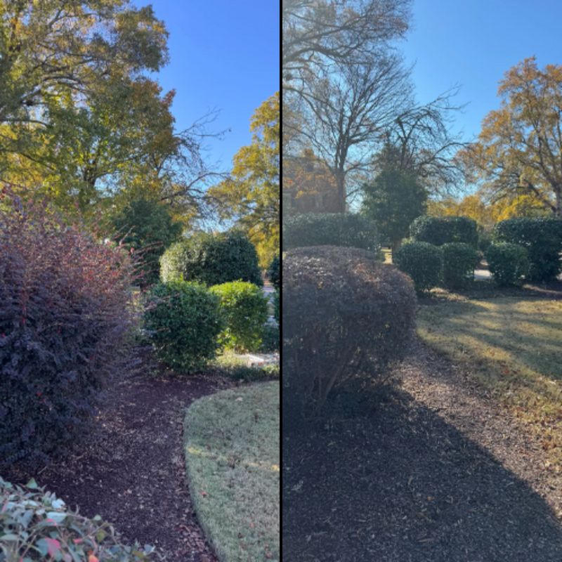 Mulch Installation