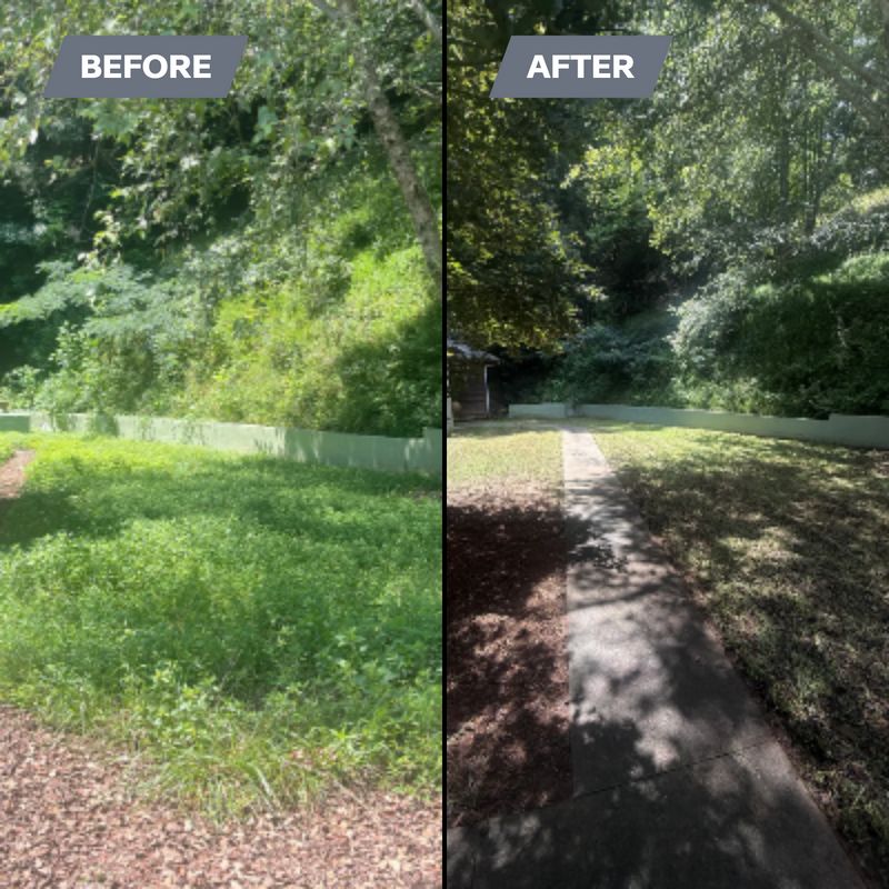 Lawn Maintenance