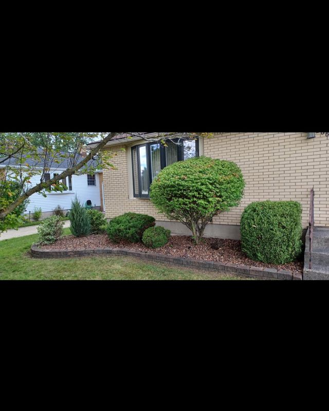 Shrub & Plant Installation Photos