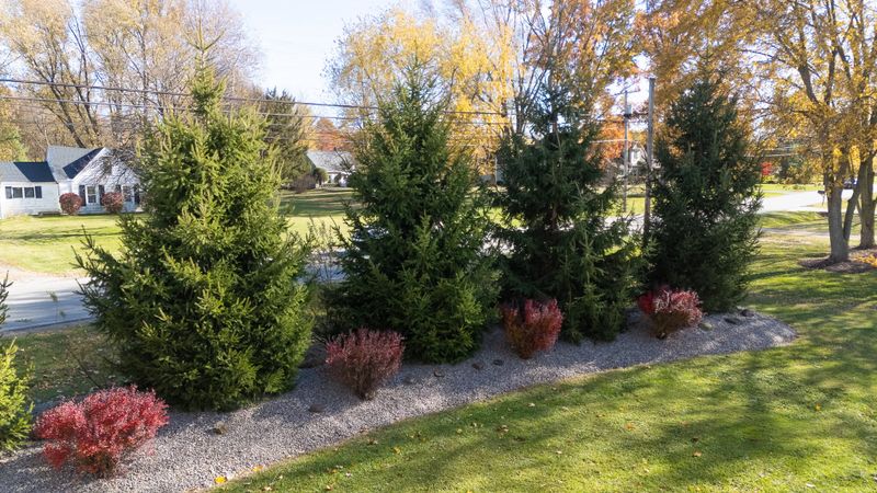 Fertilization and Weed Control
