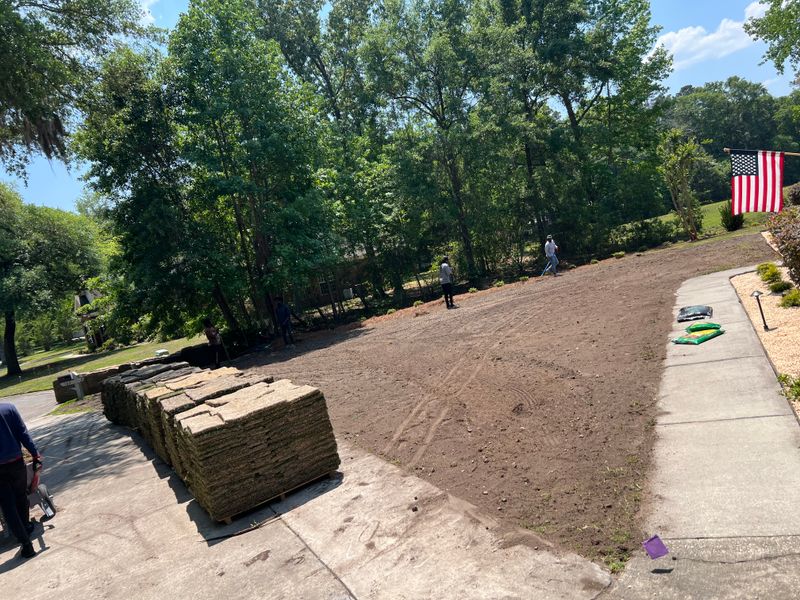 Sod Installation