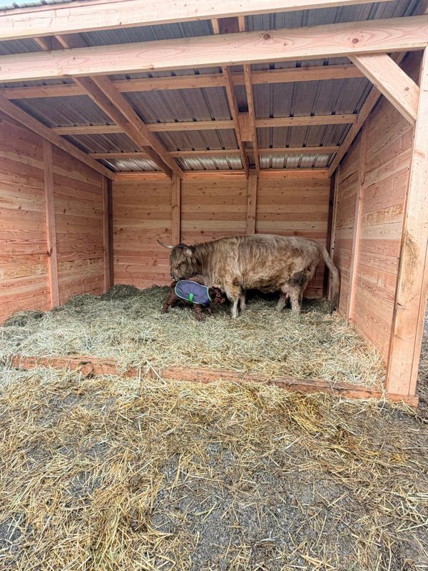 Hay Storage and Feeders