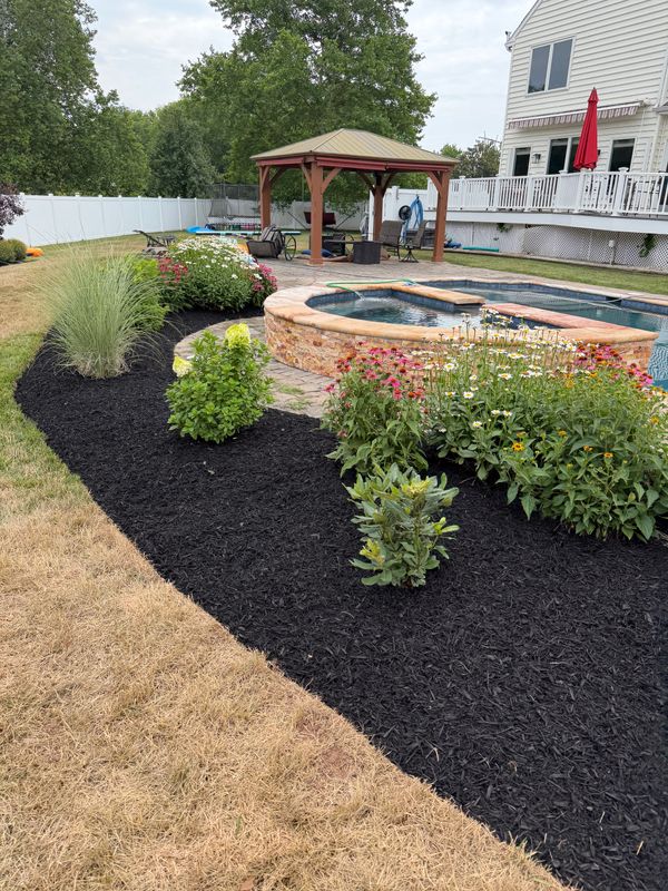 Tree & Perennial Planting