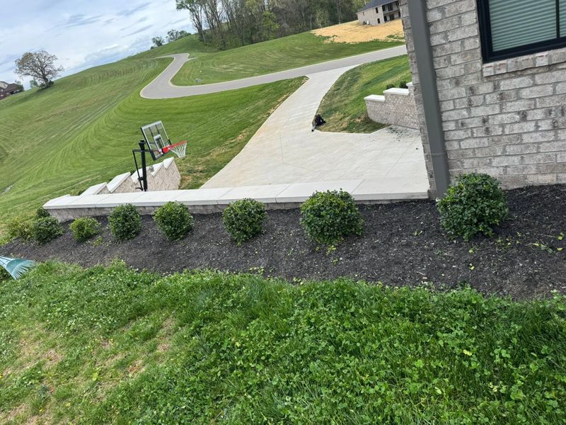 Garden Designs