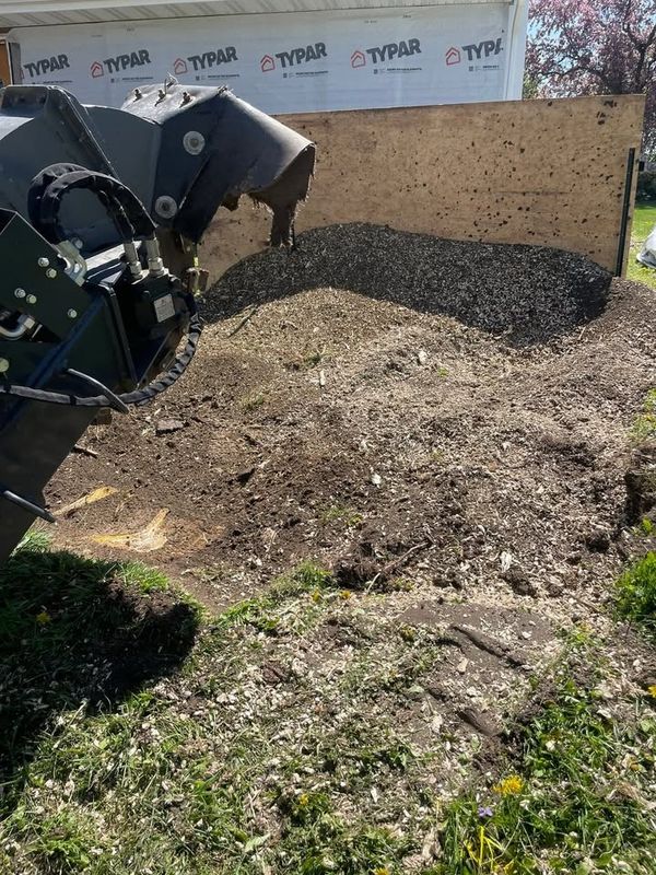 Stump Removal