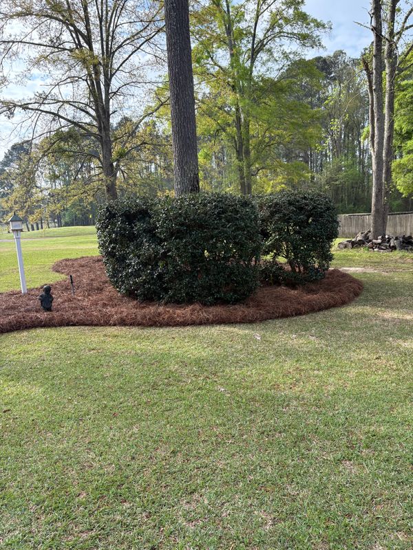 Landscape Design